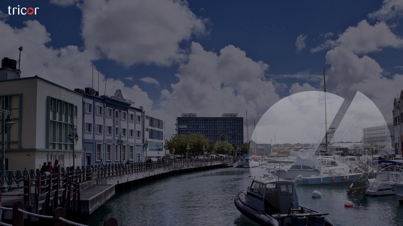 Starting a business in Barbados Tricor